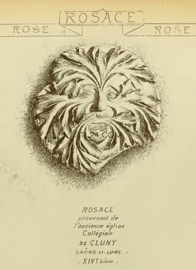 ROSETTE_0129